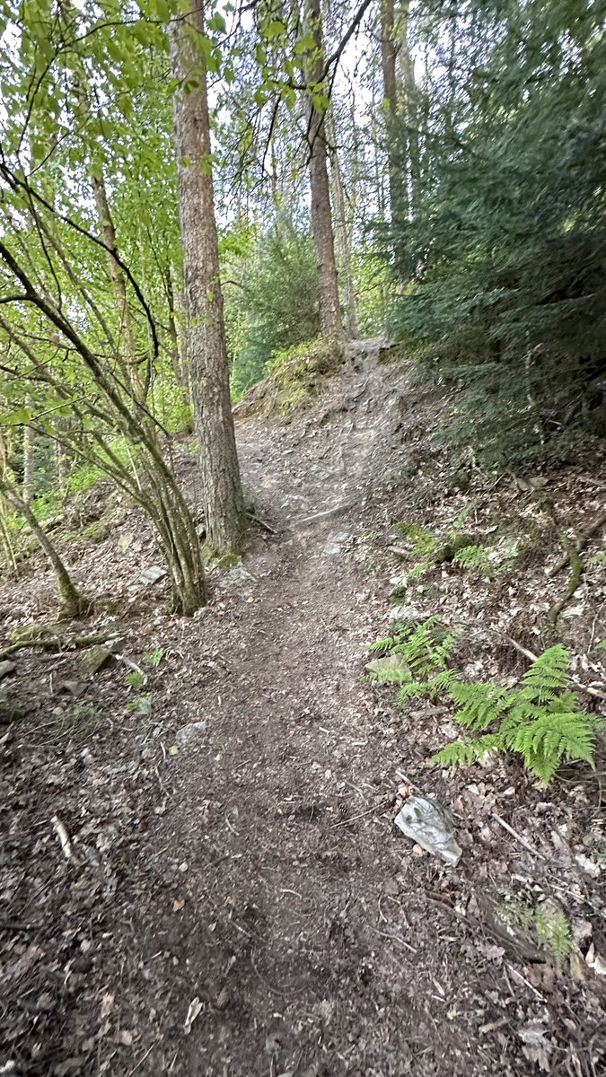 grayomtb's tweet image. #trailfairies #mtb #keepthemrunning