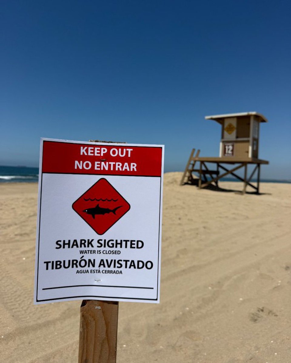 OC_Scanner's tweet image. BREAKING 🚨🚨

#HuntingtonBeach / #California 

The waters off Sunset Beach were CLOSED Wednesday after a 9 to 10ft Great White Shark was seen exhibiting "aggressive" behavior close to shore, HB lifeguards said.

The sighting happened Wednesday morning around 10am and the shark
