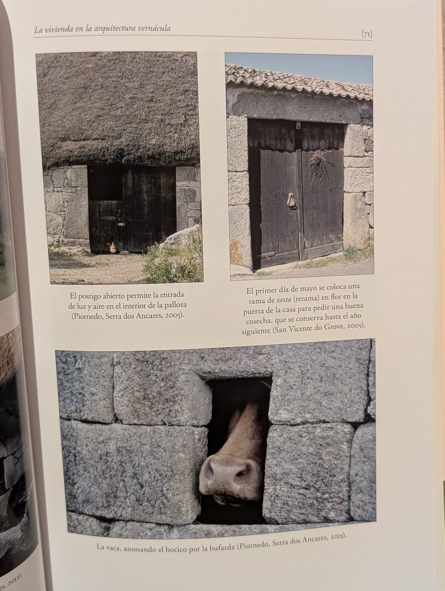 slothdive's tweet photo. @maruxinhapouso si claro! ese está xenial, si ten segmentos con bastantes fotos pero está máis centrado na explicación ca na representación visual https://t.co/kBMTGfcqLG