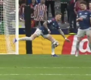EvertonAreMagic tweet media