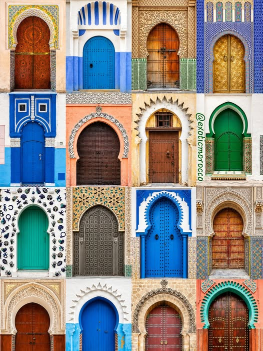 داليا عبد الهادي tweet media