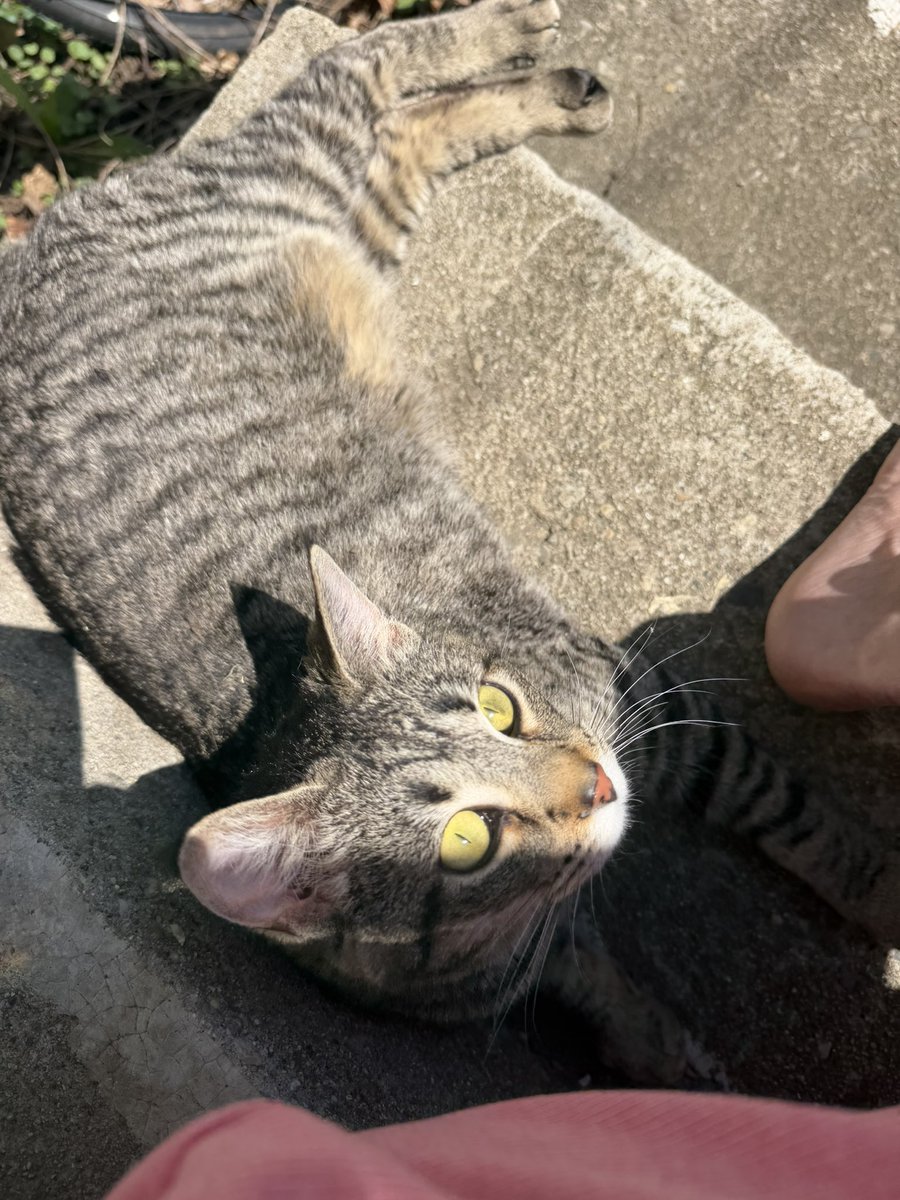 Danielle tweet media