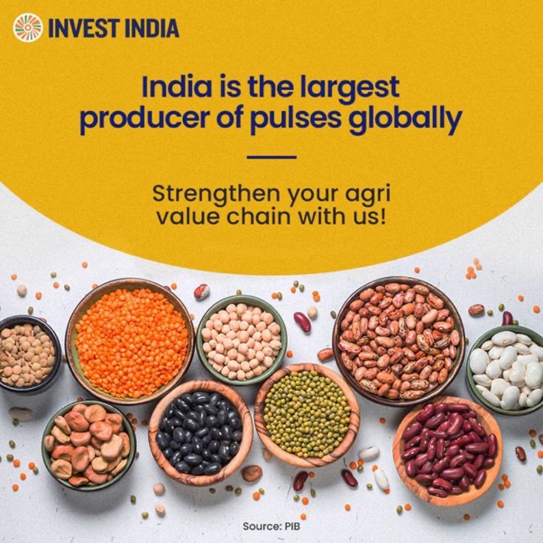 indiainalgeria's tweet image. 🇮🇳India’s pulses value chain
presents investment prospects in warehousing, food processing, and export markets. 

Discover more: tinyurl.com/II-Agriculture

#InvestIndia #MakeInIndia #IndiaOpportunity #FoodProcessing 
@MOFPI_GOI