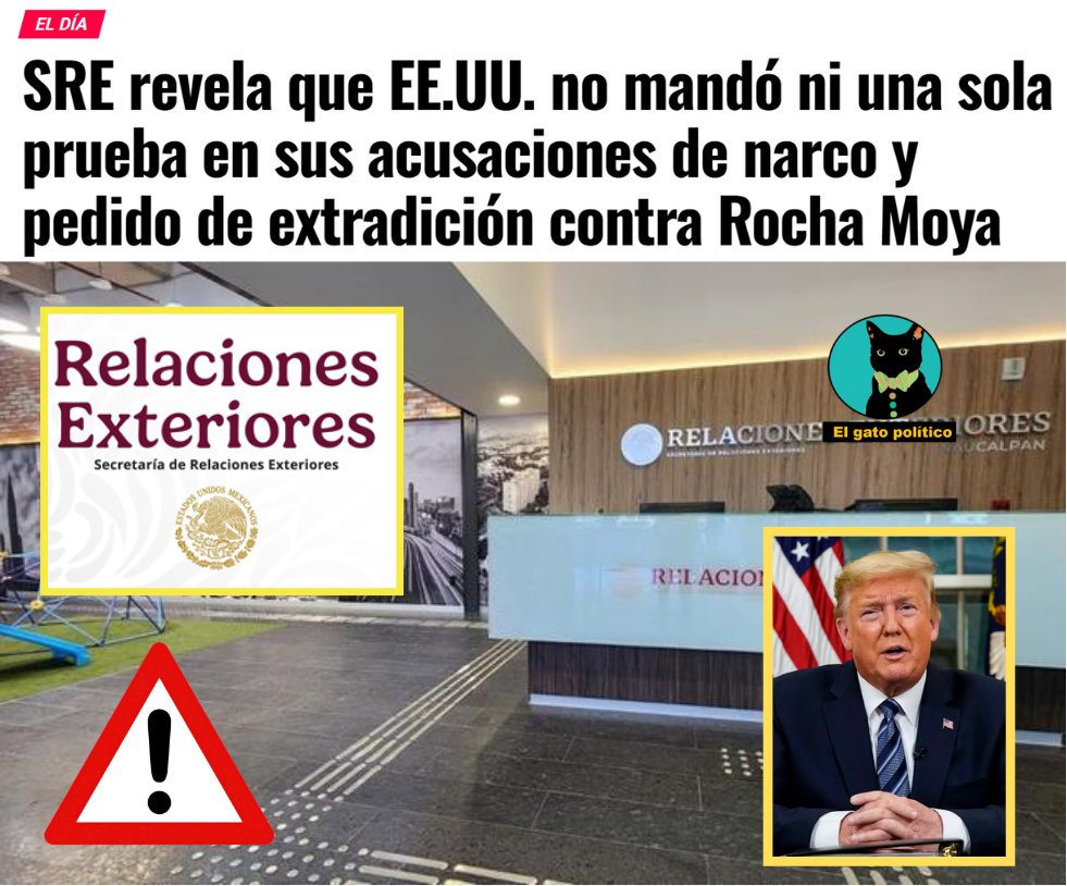 El gato político tweet media