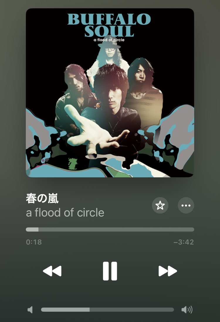 WafuChickenKatu's tweet image. フラッド武道館まであと6日☔️🍃

4月最後の日は雨！
なので春の嵐！🎸

#a flood of circle 5月6日日本武道館