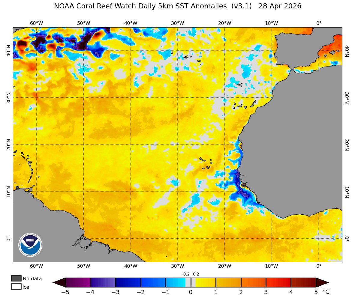 AndyHazelton's tweet photo. PSA, I would avoid using this CRW SST anomaly product. It makes things look unrealistically warm for two reasons:
1) Outdated climo average of 1985-1990+1993.
2) Slightly deceptive colorbar where anything slightly above zero is yellow.

For a more realistic look, use the same plot from @cyclonicwx with a more realistic climatology, preferably the one with the global mean anomaly removed (which is what matters for comparing basins).
https://t.co/K0XchzYxsI