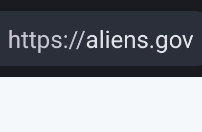 John Basham tweet media