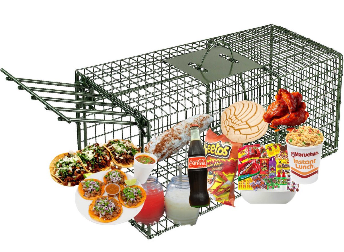 𝙋𝙖𝙡𝙖𝙘𝙚 𝘾𝙡𝙪𝙗 tweet media