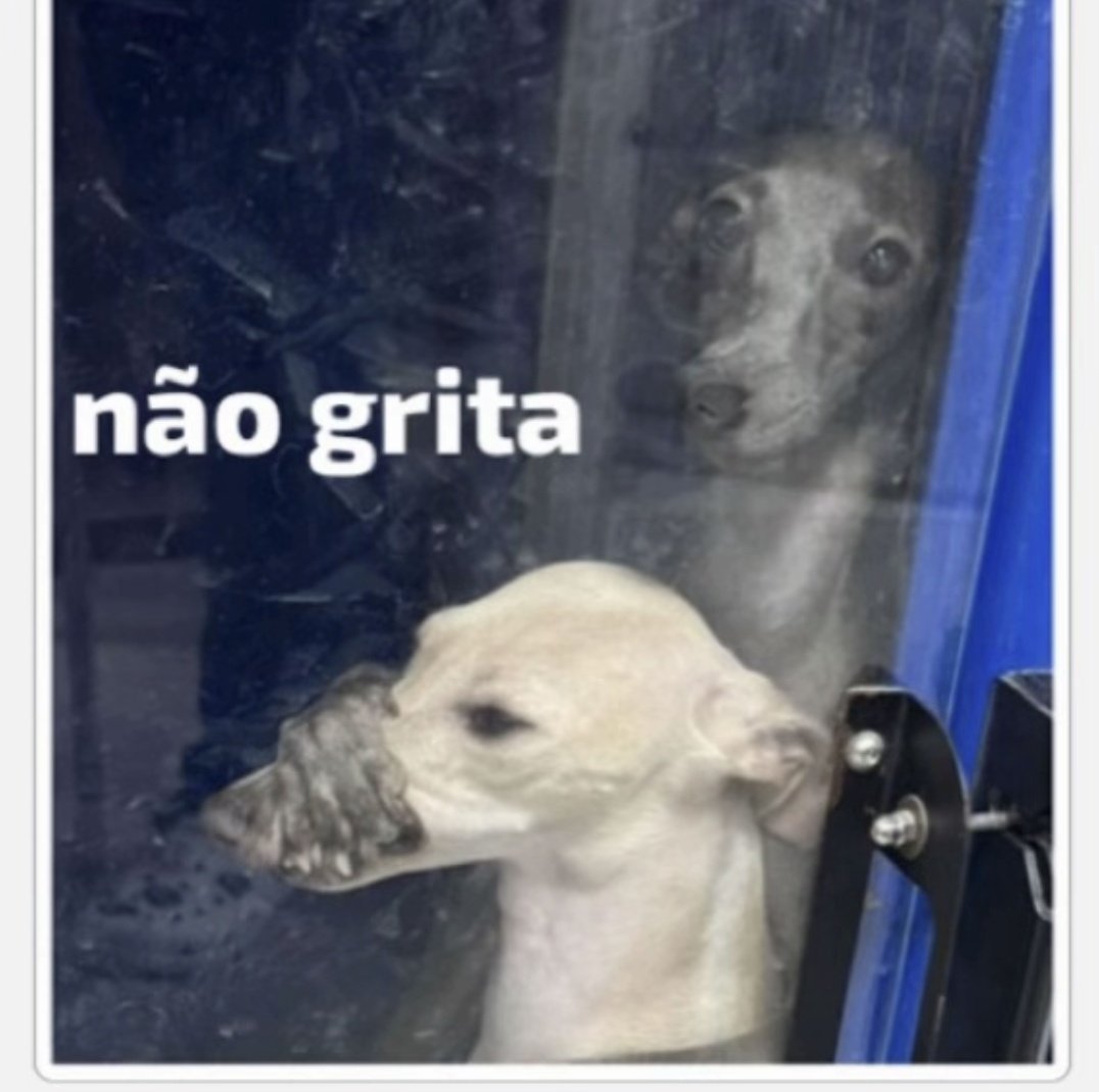 Lo_zuada_'s tweet photo. Combo do dia: Garganta inflamada + Gripe + nariz sangrando + pessoa do meu lado cantando se achando a Luiza Sonsa + do outro lado um gato macho tentando comer a gata femea, pasmem, A COITADA PRENHA.
É isso, eu to numa quarta foda 
(To usando rosa gente, toda coquette, por favor.) https://t.co/Ckx17c8Vi7