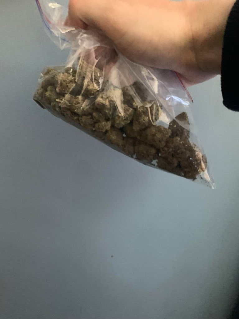 SONIC BUDS tweet media