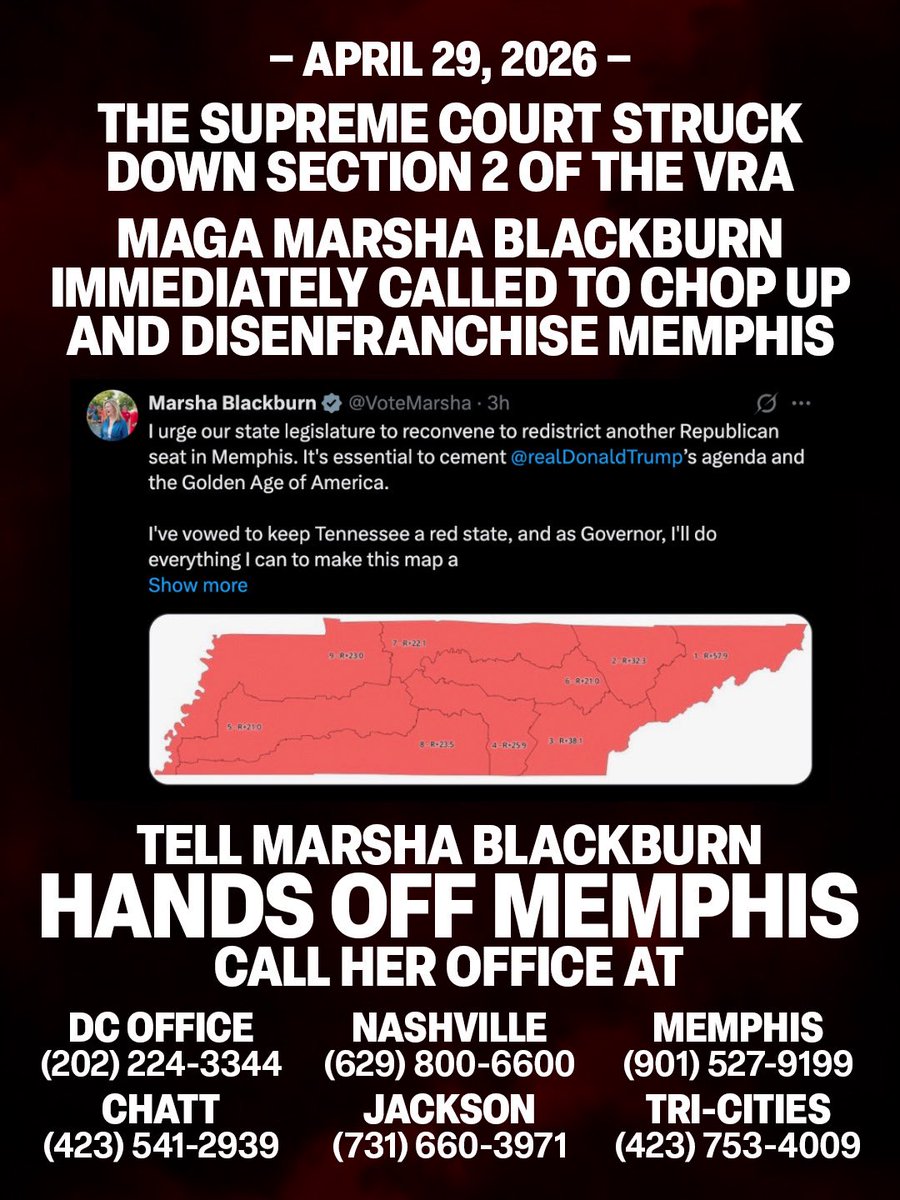 Tennessee Young Democrats tweet media