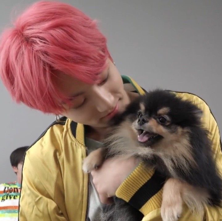 𝘊𝘢𝘮𝘪 𝘑𝘬’𝘴 𝘨𝘧 𝟕 | NO VERÁ A BTS tweet media