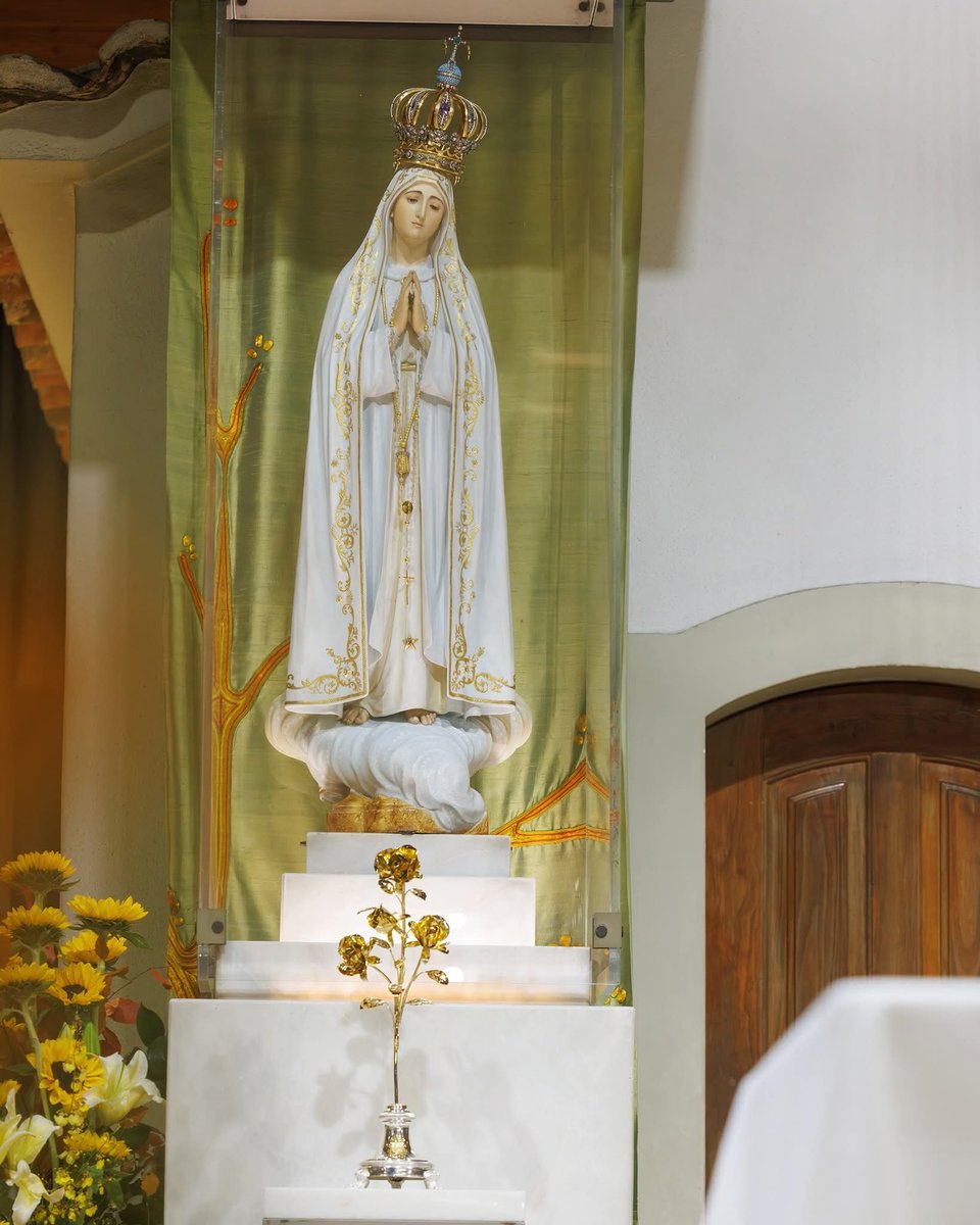 d_mhg's tweet image. Virgen María,  Madre de Fátima,
protege a nuestros #hijos y #nietos, todas la #familia y nuestros hogares.
Aleja de nosotros las dificultades y todo lo que nos aleja de Dios.
Guárdanos siempre en la paz del Señor.
Amén. 🙏