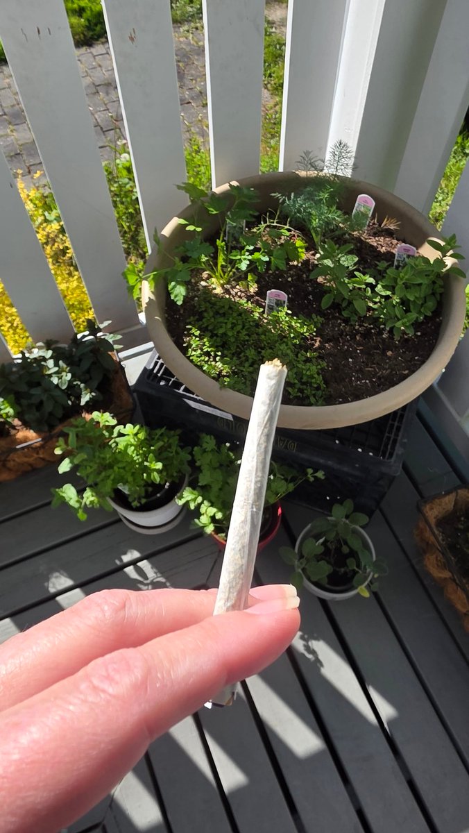 Psitadel 🍄‍🟫⚡️ @Ple₿SlopArmy 🧡 tweet media