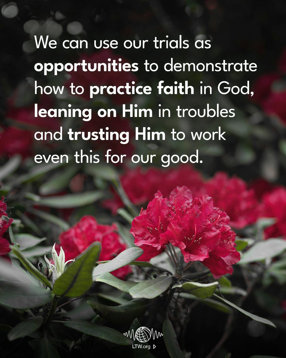 LeadingTheWay's tweet image. 🙏In a world that filters weakness and hides struggle, the next generation is desperate for something real, authentic faith rooted in the unchanging Word of God.

Are you showing them how to trust God in the unseen battles?

👉Learn how: leadingtheway.link/preparing-your…