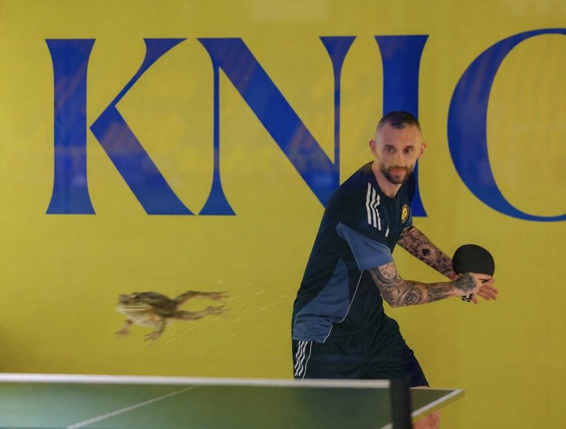 نواف التميمي 📊. tweet media