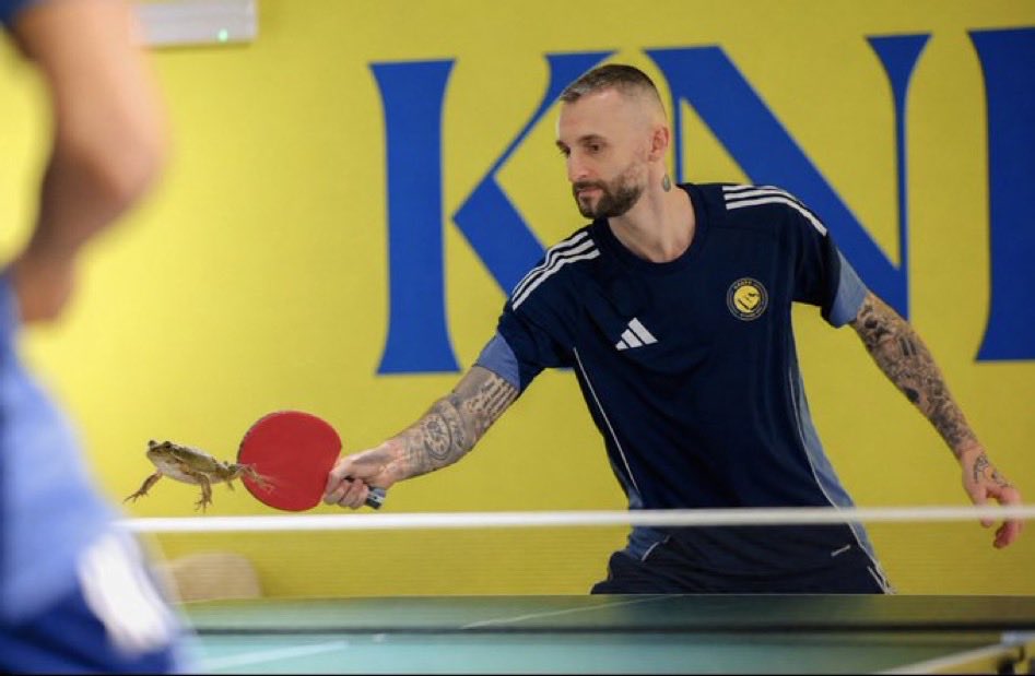 نواف التميمي 📊. tweet media