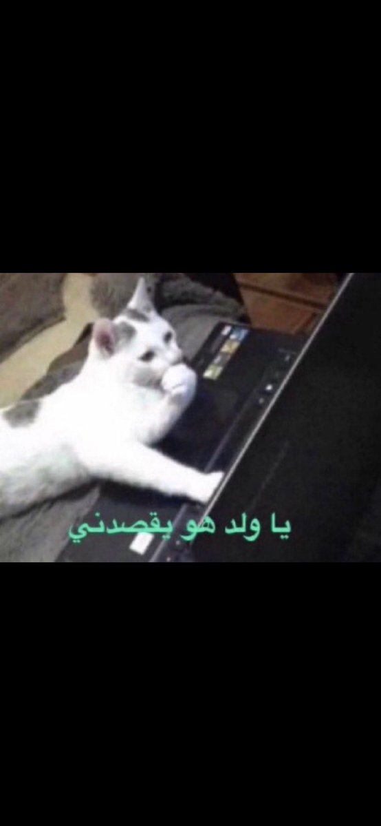 مازن tweet media