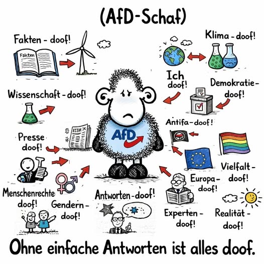 EnoX 🇩🇪🇪🇺 tweet media
