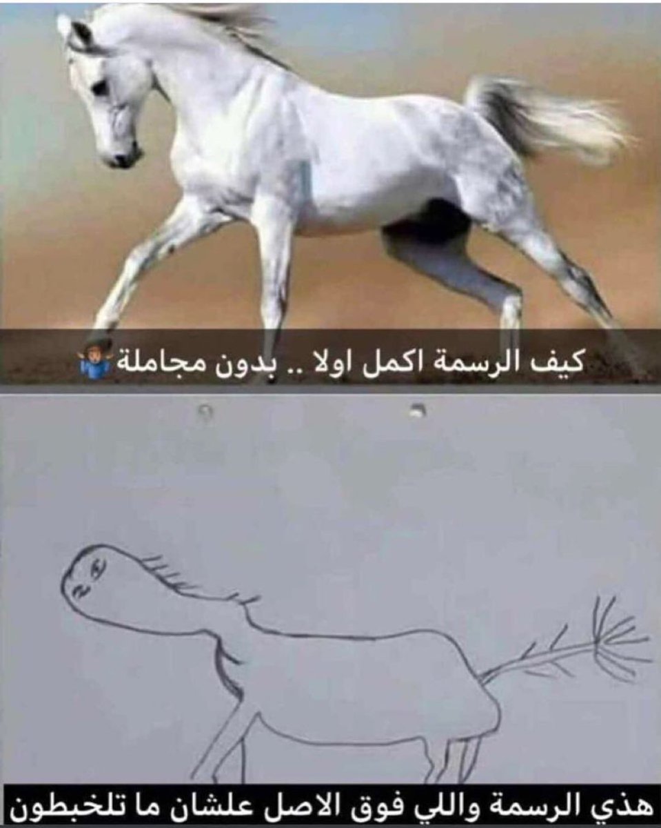 اسامه الزارع 𝕏 tweet media