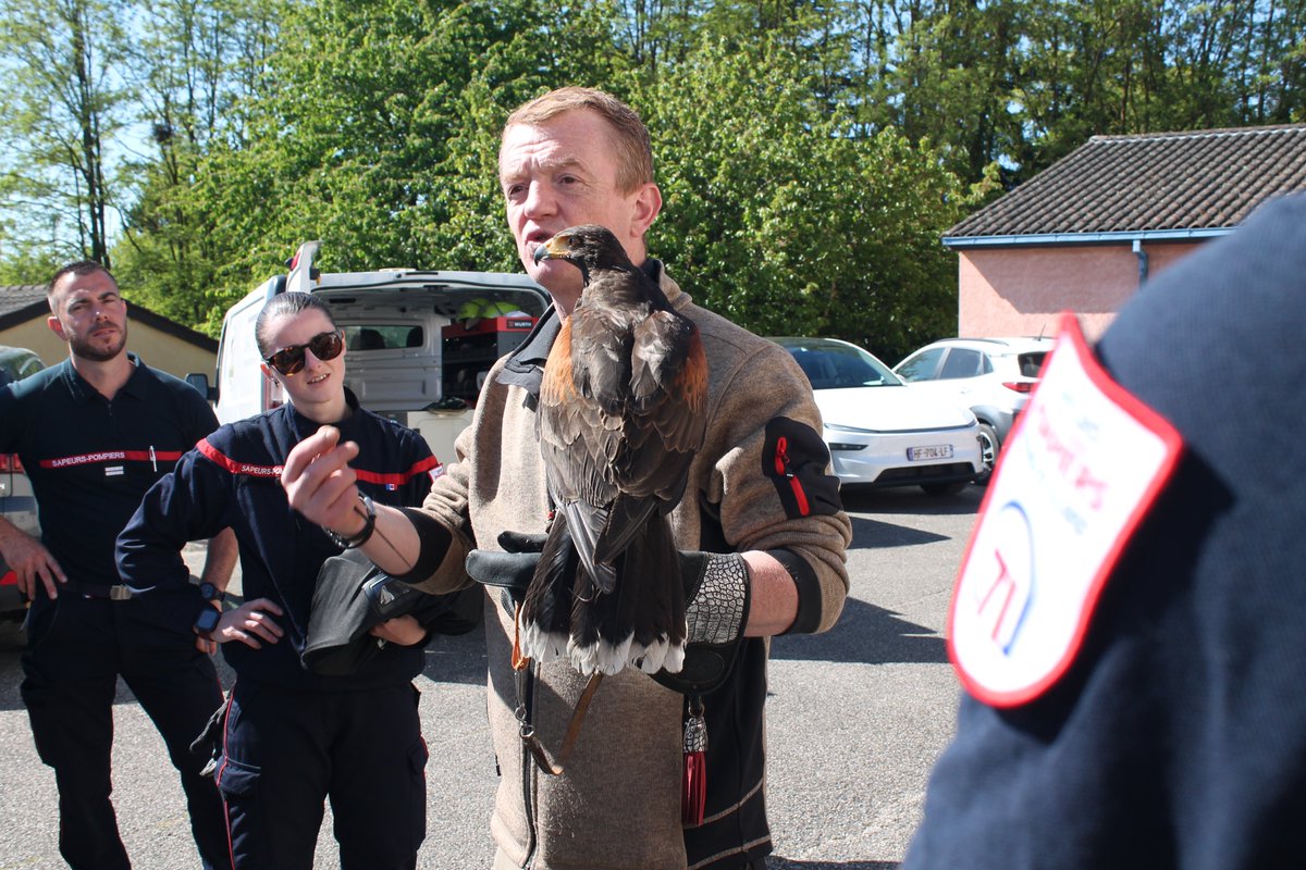 SDIS71's tweet photo. #SecoursAnimalier | 12 stagiaires ont validé leur formation initiale d'équipier SAN1.
📝5 jours pour étudier les espèces, le matériel &amp; les gestes adaptés à l'animal.
🎯43 sapeurs-pompiers composent désormais cette nouvelle équipe spécialisée @SDIS71.
📸L. Schneider P. Argaud https://t.co/rjlTYgMyzp