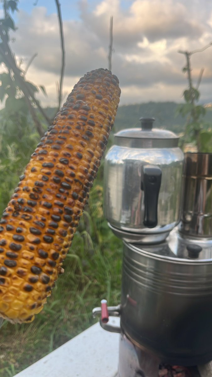 The Levent tweet media