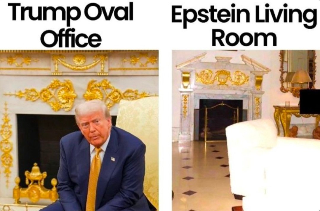 MP Arizona☀️🏳️‍🌈💙🌵🐕🐕‍🦺🫂💦🏜🐟🌴🎙🌎🌻♍️🌊 tweet media