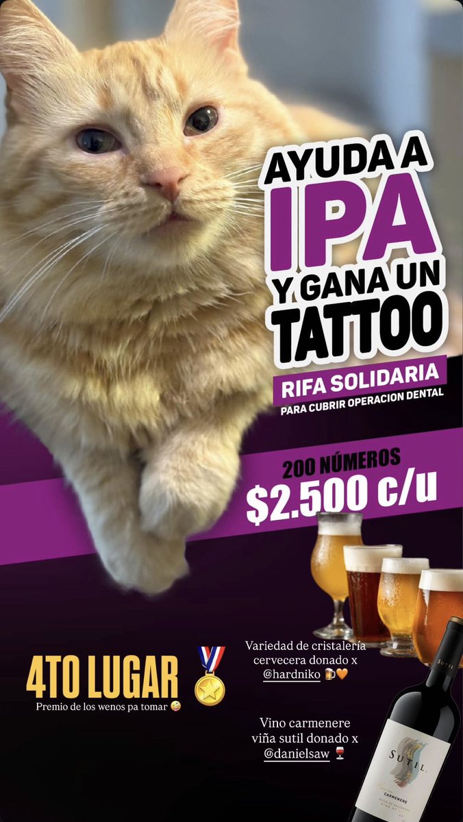 lowkeyliny's tweet photo. Mi bebé IPA tiene una lesión resortiva y necesita una operación dental urgente.

Estoy realizando una rifa con premios muy cool para cubrir los gastos de la cirugía. Te dejo abajo los números aún disponibles para que nos apoyes 😸🧡
#rifasolidaria #rifa #gatoschile https://t.co/PMgz43Aiz3