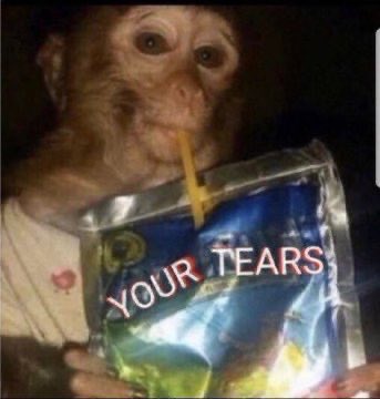 E R I N ☀️ tweet media