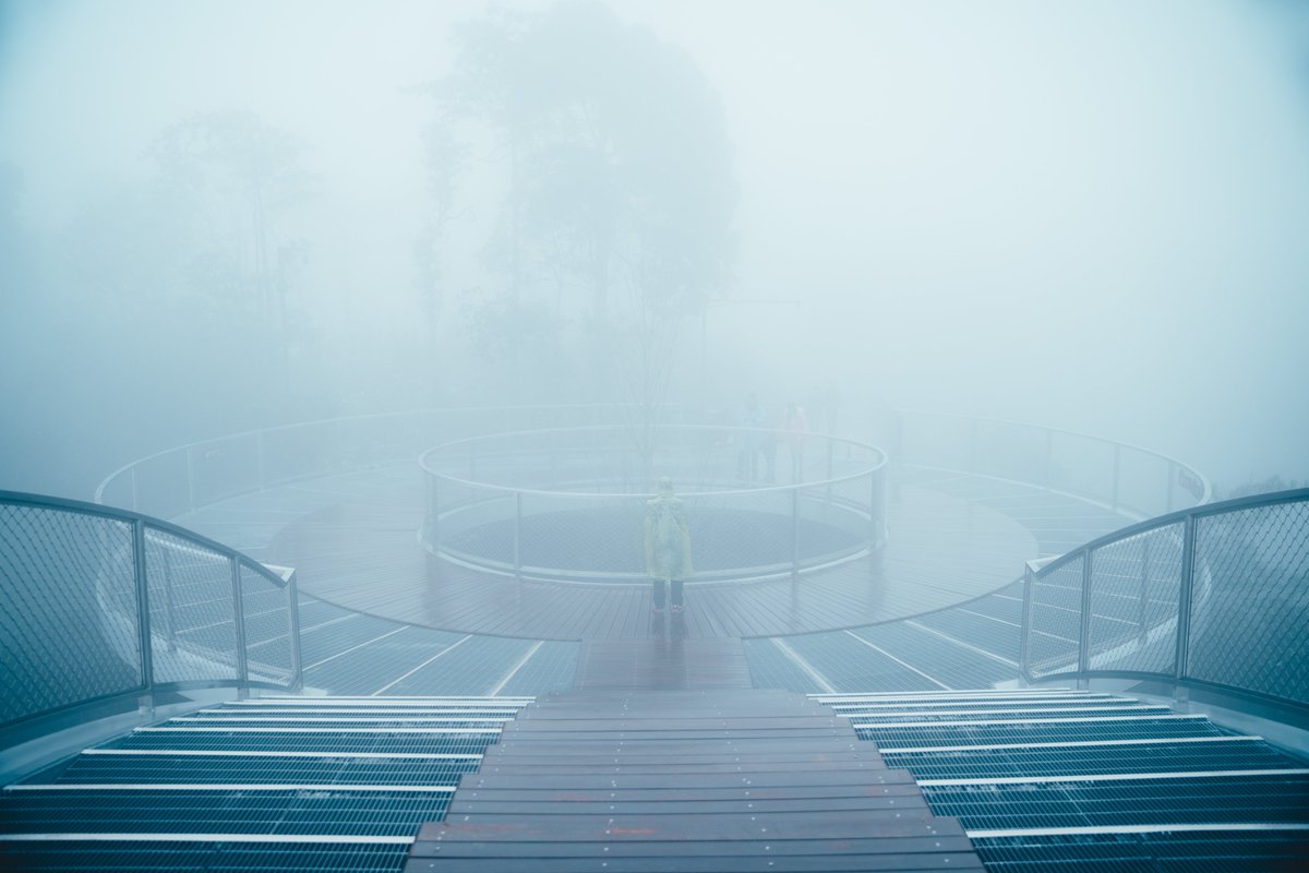 cyanbookmark's tweet photo. The photos I took when I was 17 made it to the finals of the 2026 Hasselblad Masters！Please vote for me
#Hasselblad #photography #fyp #landscape #HasselbladMasters2026 #写真 #摄影 https://t.co/mYXClROtC3