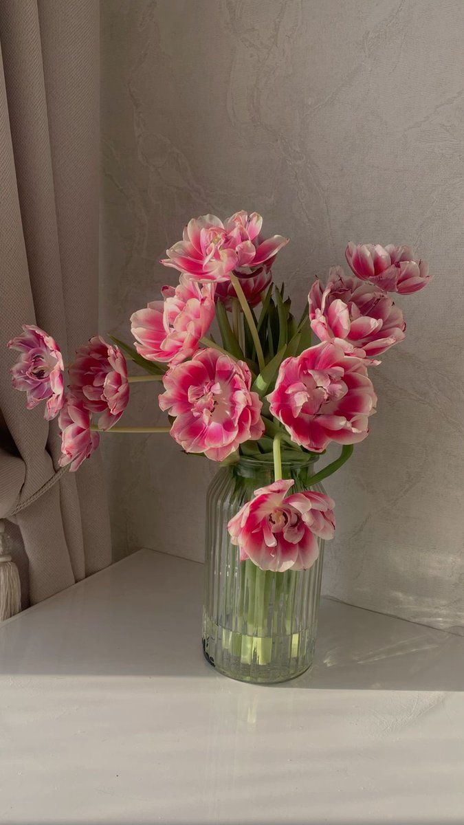 Tulips tweet media