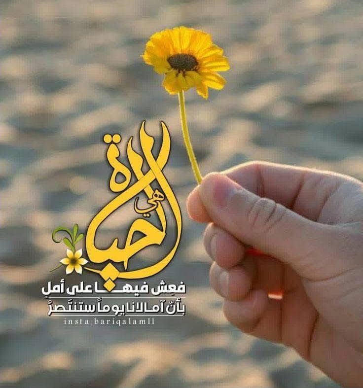 Om Tala tweet media