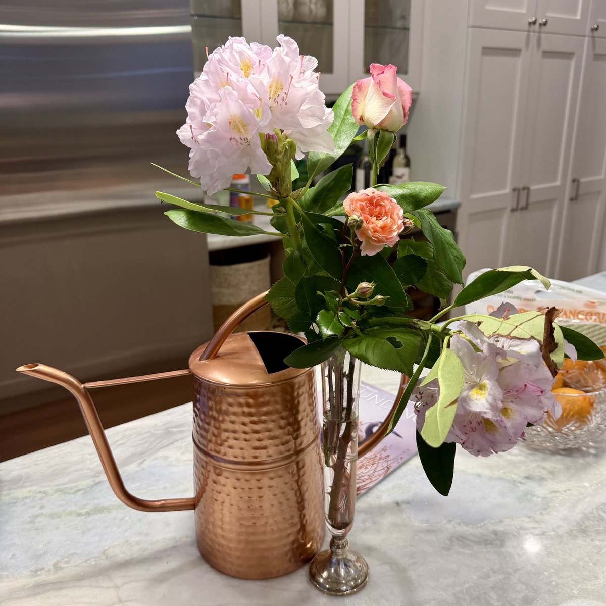 Catherine68547's tweet image. Azaleas look absolutely beautiful when paired with roses. Does anyone have any other pairing suggestions?#landscape