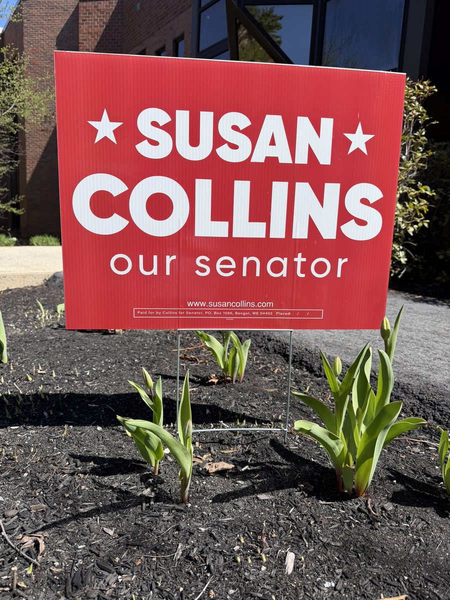 Susan Collins for Senator tweet media