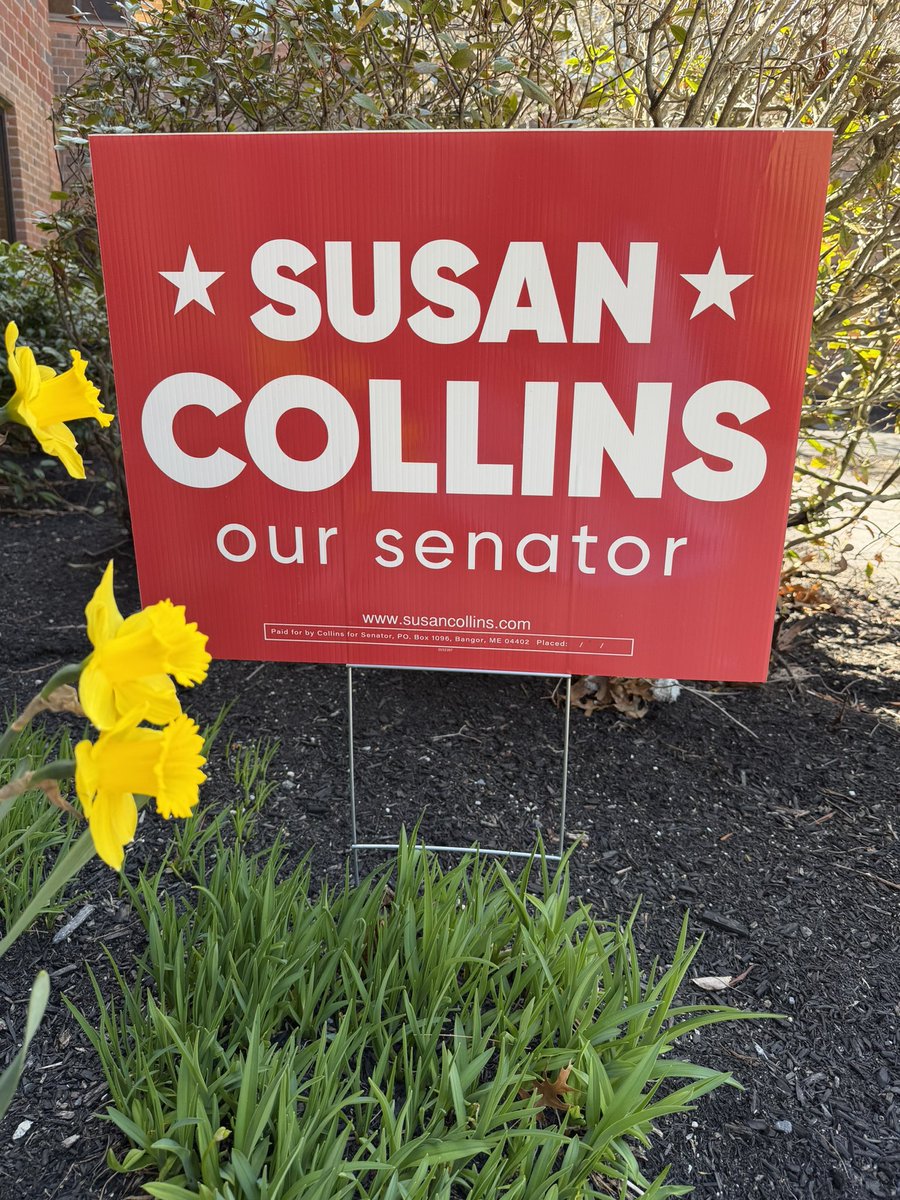 Susan Collins for Senator tweet media