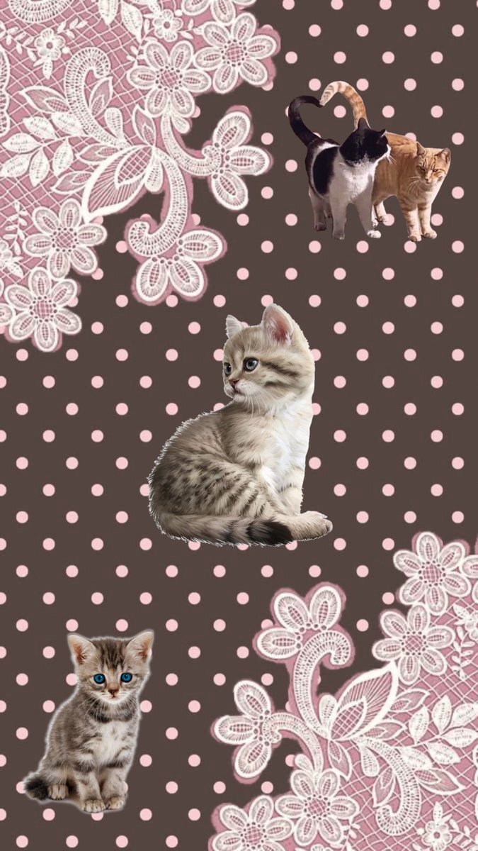 miasatthethrift's tweet image. Intro 😳
HI! I'm Dolly!
I'm bi, leftist and a furry :) 
I'm on a weight loss journey :&amp;gt; 5 pounds down, 15 to go!
I love thrift stores and going to the mall!
I am 13 years old! Anybody 12-15 is welcome on my page! 16+ you can be here too just don't be weird.
I FB!!! #intro #wl #fb