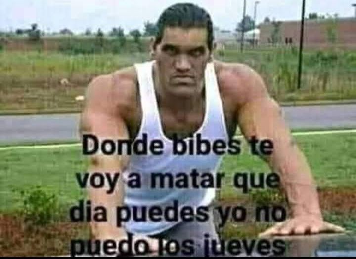 martu :3 tweet media