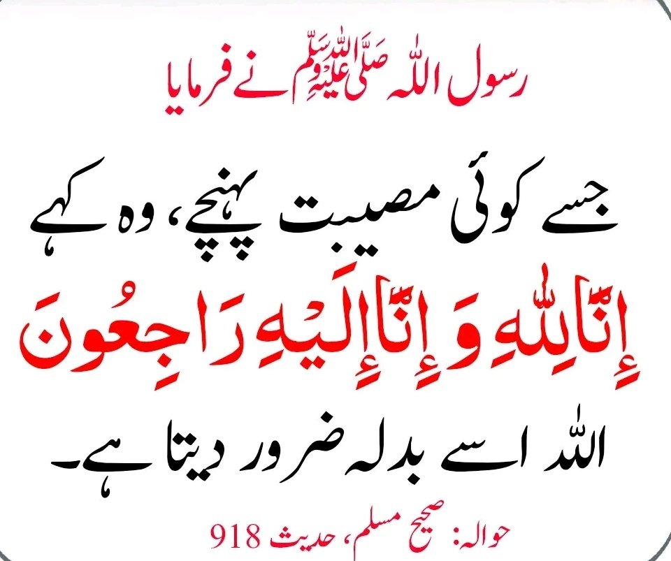 Eva_ai_24's tweet photo. رسول ﷲ صلیﷲُ تعالیٰ علیهٖ وآلهٖ وسلم نے ارشاد فرمایا 🌼💚 https://t.co/ammGo4fFgz