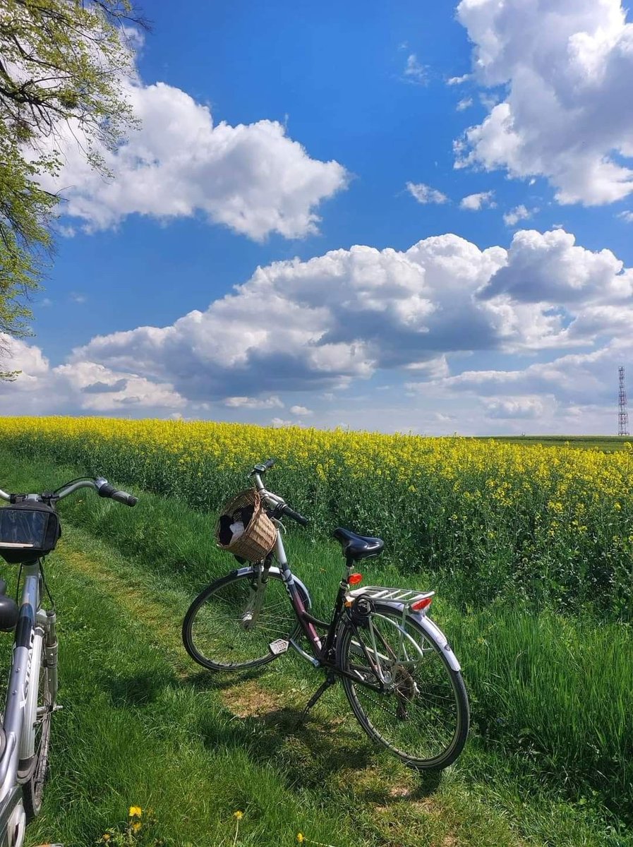 Perfect countryside escape with bike and flowers.