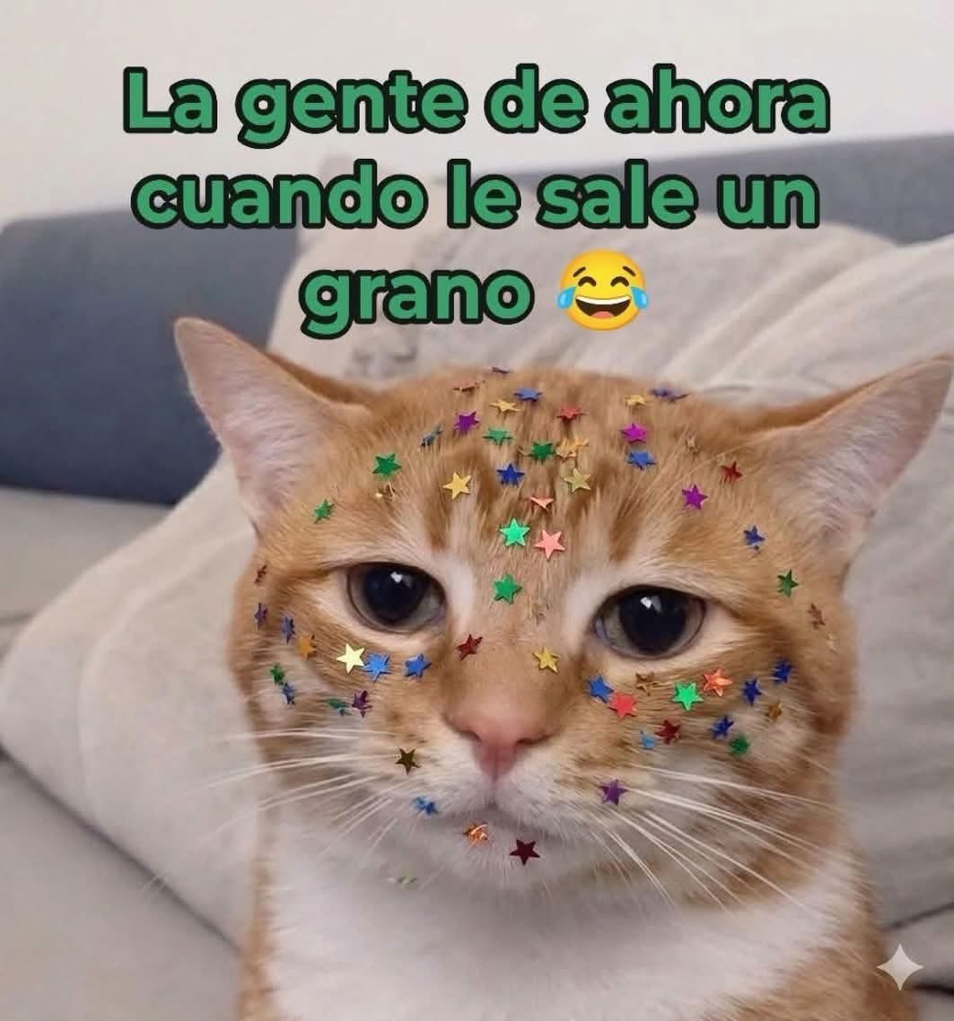 Nuria tweet media
