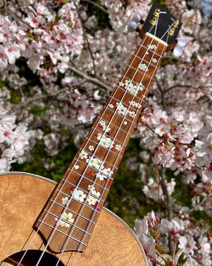Sakura petals