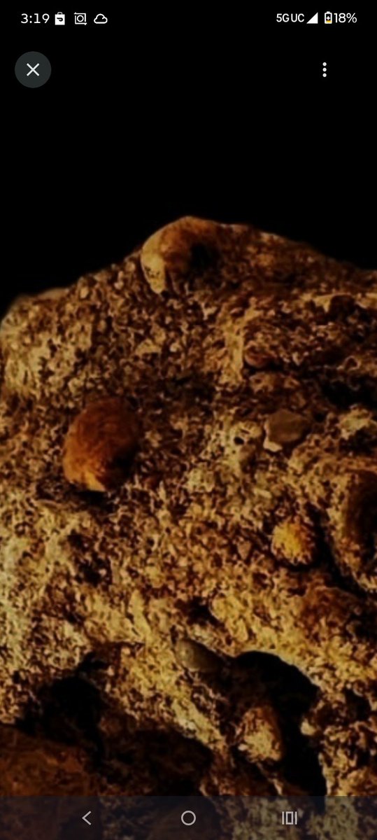 Spirit Realm tweet media