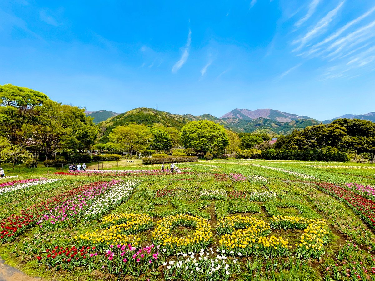 🍀おはようございます🍀