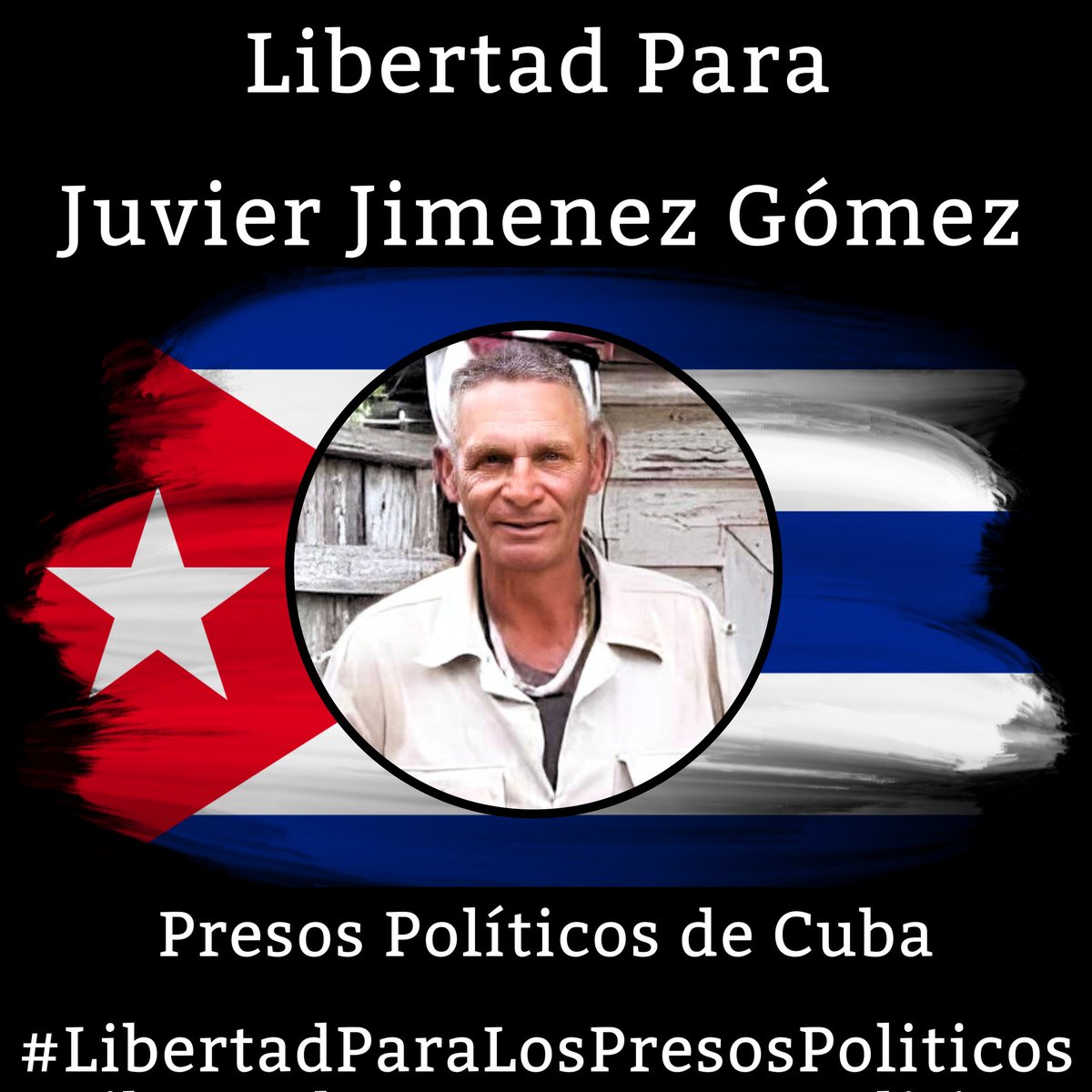 Ana M Suarez tweet media