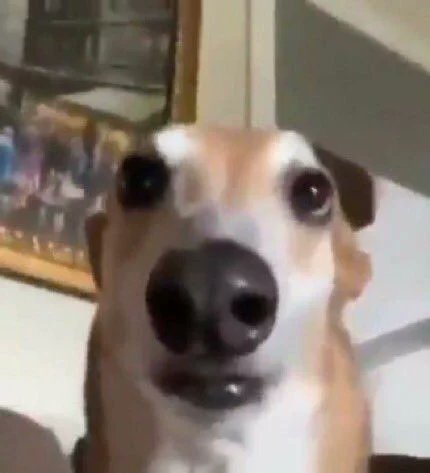 jully⁷ so pretty I could die GABY DAY tweet media