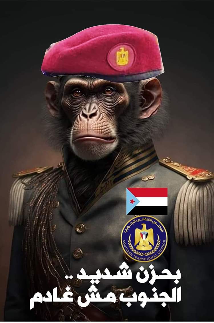 jamal An،am tweet media