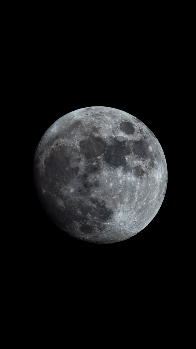 Rad van Mad tweet media