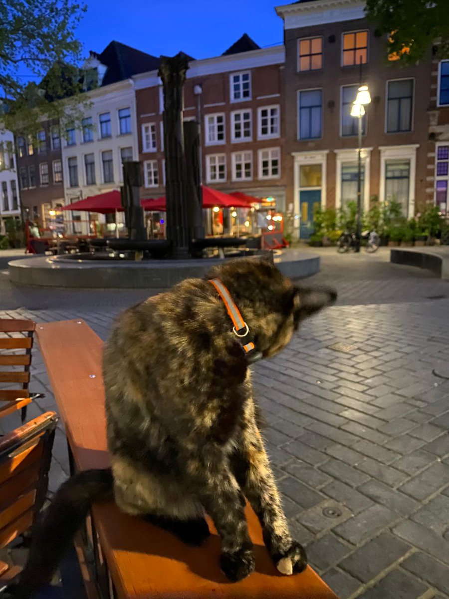 Mevrouw de Advocaat tweet media