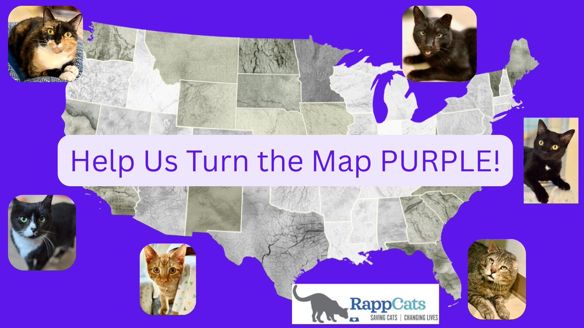 RappCatsAdopt's tweet image. ❤️😺❤️Our biggest fundraiser of the year is here! (We're 100% donation based, so it's a necessity!)🐾 Every single donation helps #cats &amp;amp; #kittens in need. We're aiming for all 50 states! Which state will be first? We'll keep updating the map! Give here: mtyc.co/p7hx7f