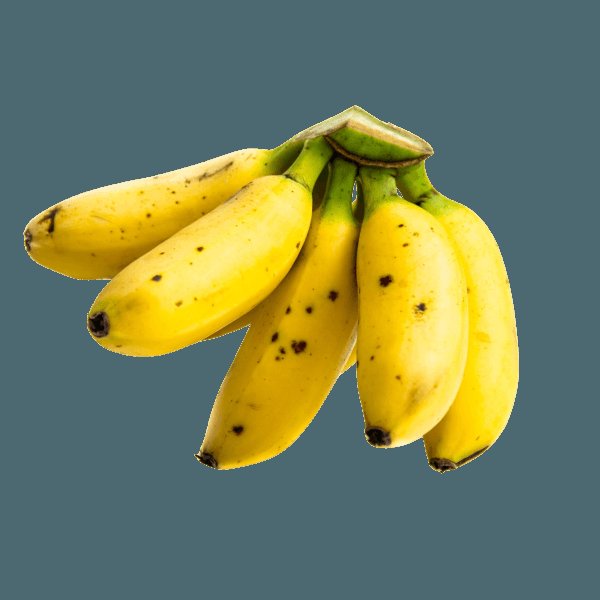 🐉💢Neru's Sensei Hitoshi 🧡美甘ヒトシ🐲🧸 tweet media